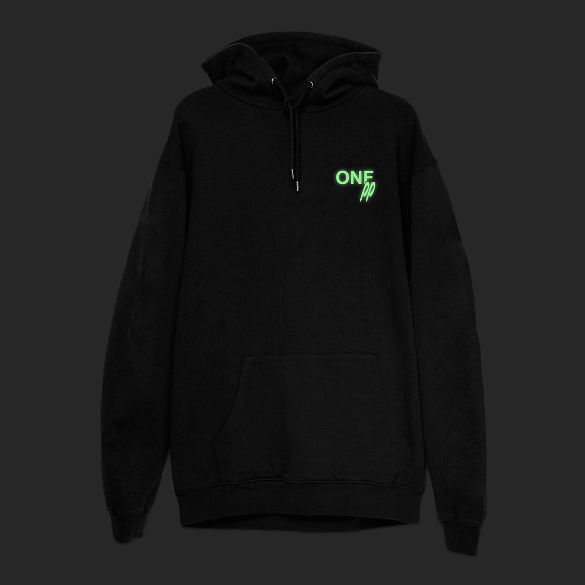 TEILE & PP “Welcome To Our House” Hoodie from GTA V